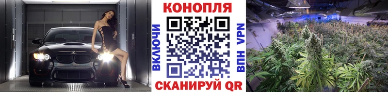 МАРИХУАНА марихуана купить Шадринск
